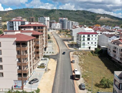 Bursa Demirtaş Evden Eve Nakliyat: Yeni Yaşam Alanlarına Sorunsuz Geçiş